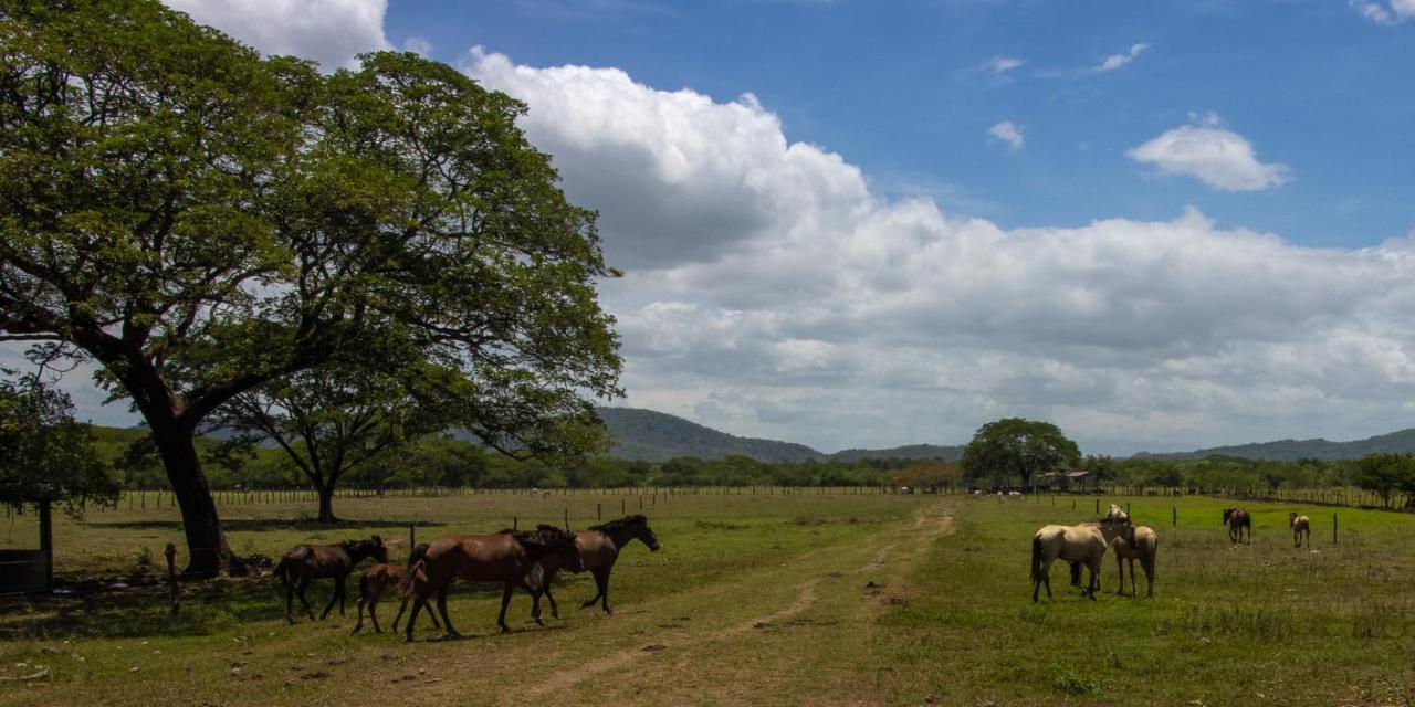 Rancho Humo Estancia Puerto Humo  Buitenkant foto